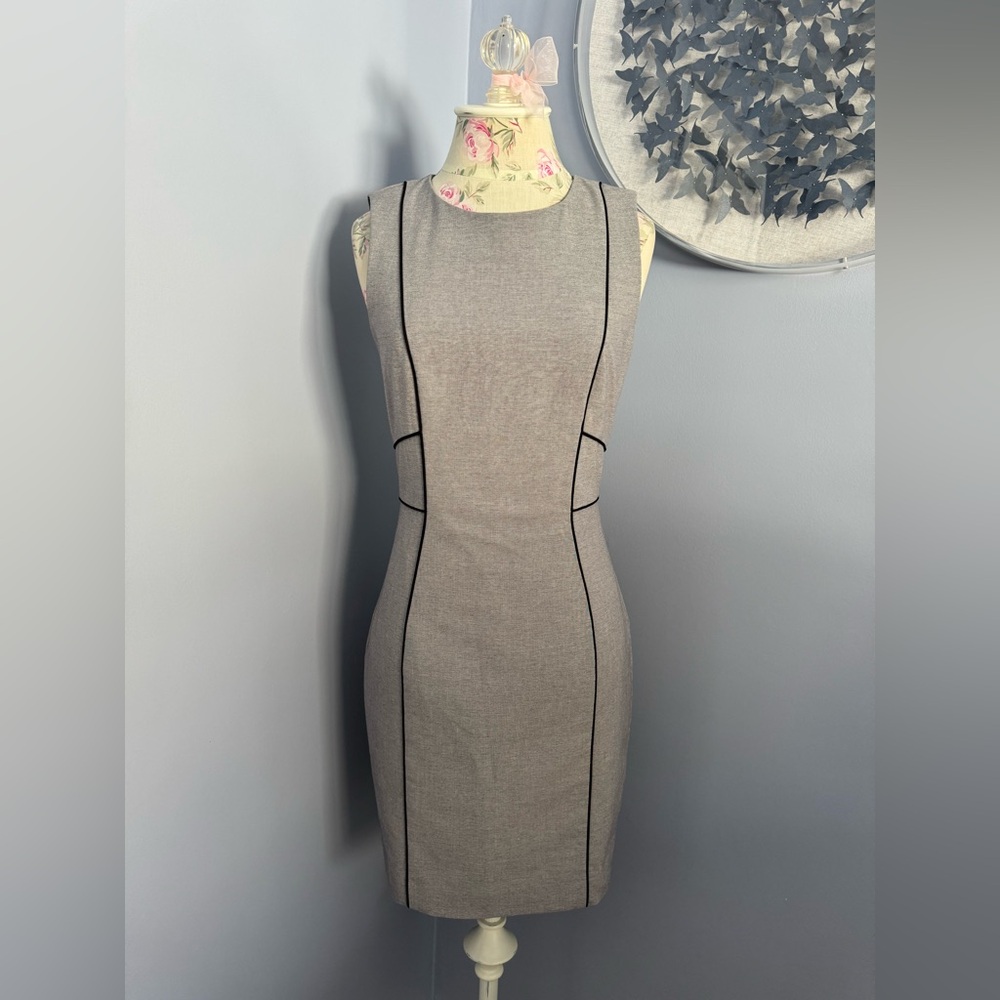 H&M Fitted Sheath Dress with Black Seaming